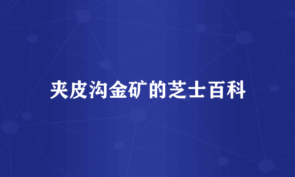 夹皮沟金矿的芝士百科