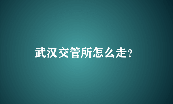 武汉交管所怎么走？