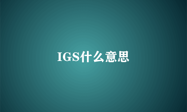 IGS什么意思