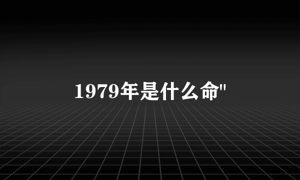 1979年是什么命