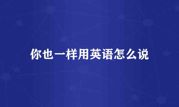 你也一样用英语怎么说