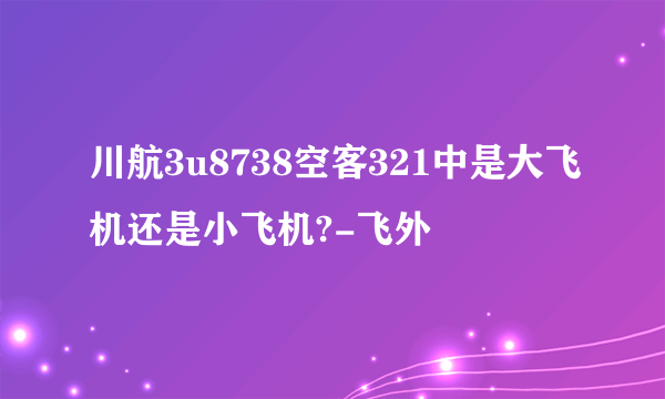 川航3u8738空客321中是大飞机还是小飞机?-飞外