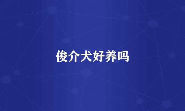 俊介犬好养吗
