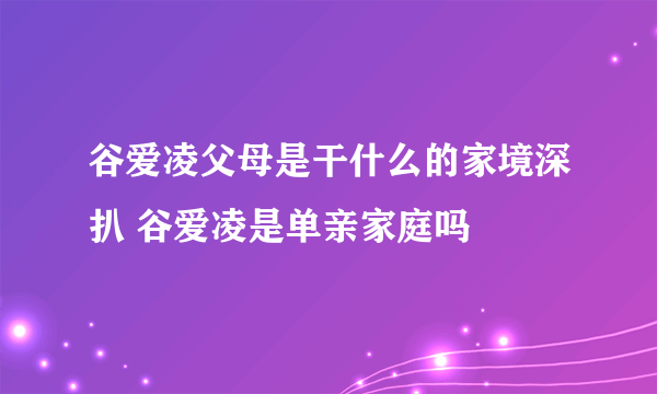 谷爱凌父母是干什么的家境深扒 谷爱凌是单亲家庭吗