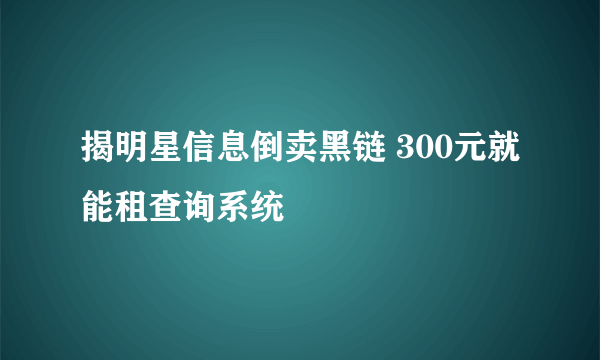 揭明星信息倒卖黑链 300元就能租查询系统