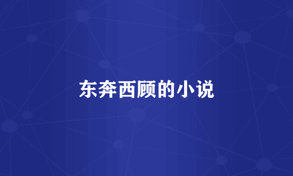 东奔西顾的小说