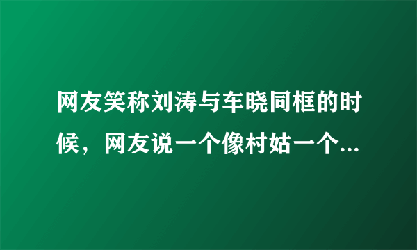 网友笑称刘涛与车晓同框的时候，网友说一个像村姑一个像贵妇，该如何看？