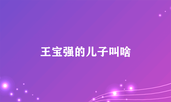 王宝强的儿子叫啥