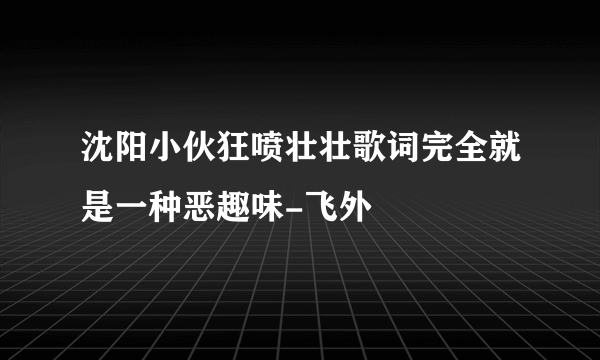 沈阳小伙狂喷壮壮歌词完全就是一种恶趣味-飞外