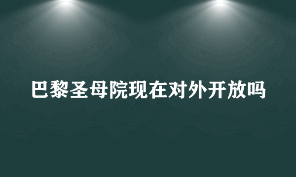 巴黎圣母院现在对外开放吗
