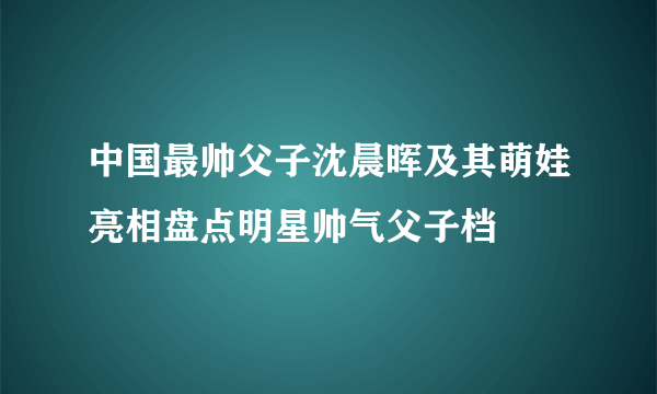 中国最帅父子沈晨晖及其萌娃亮相盘点明星帅气父子档