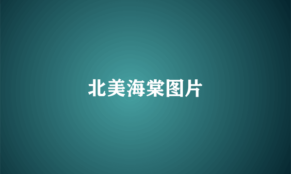 北美海棠图片