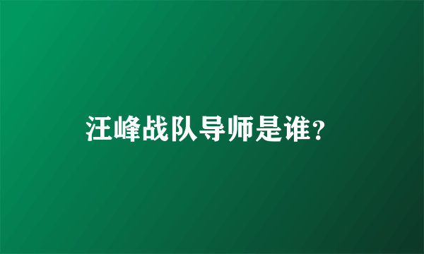 汪峰战队导师是谁？