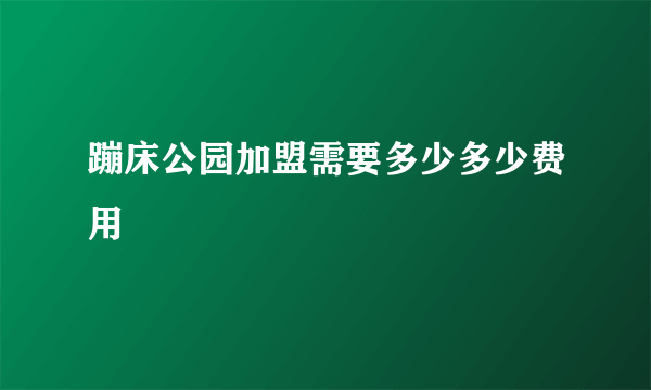 蹦床公园加盟需要多少多少费用