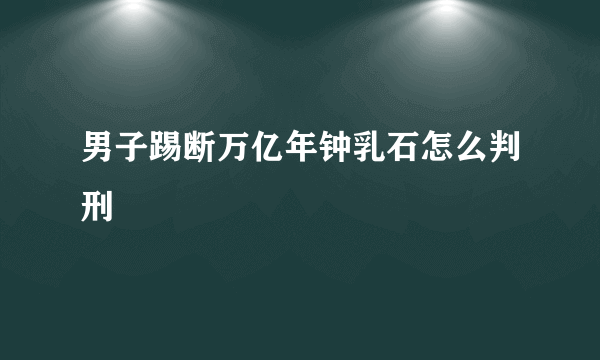 男子踢断万亿年钟乳石怎么判刑