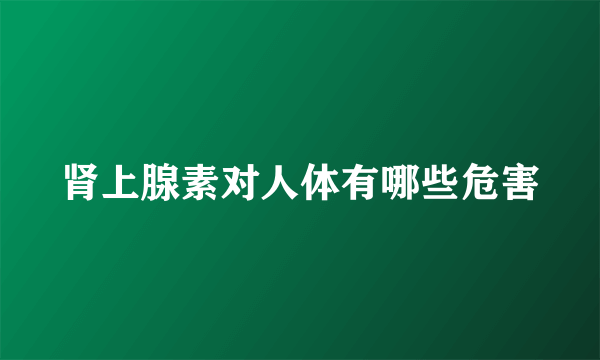 肾上腺素对人体有哪些危害