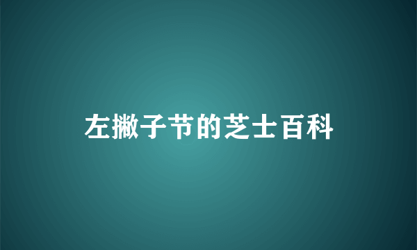 左撇子节的芝士百科
