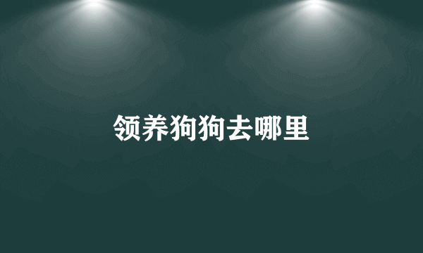领养狗狗去哪里