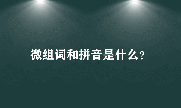 微组词和拼音是什么？
