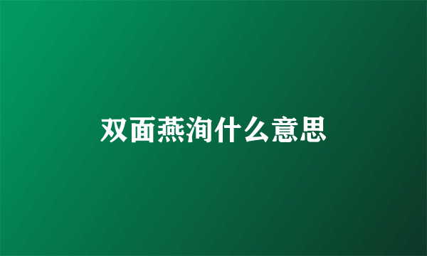 双面燕洵什么意思