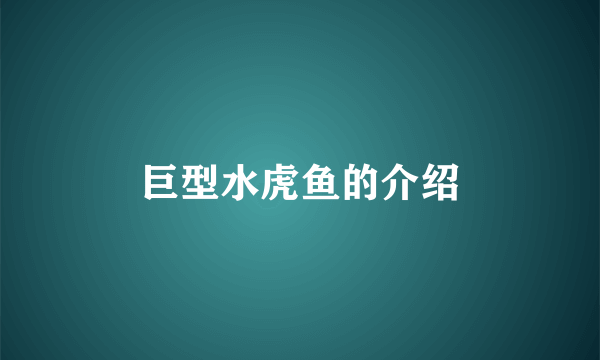 巨型水虎鱼的介绍