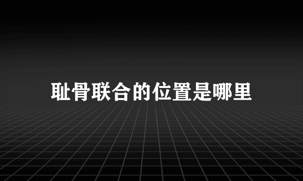 耻骨联合的位置是哪里
