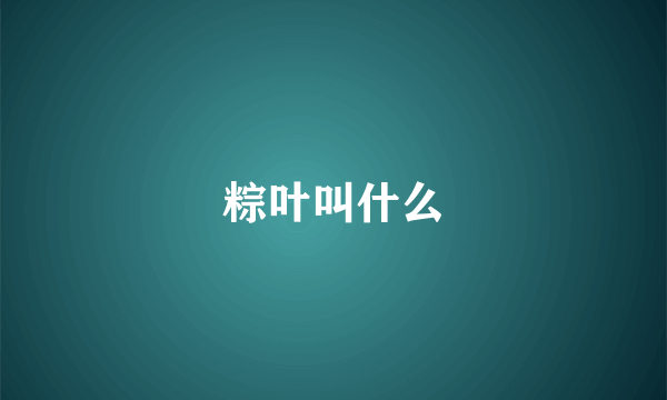 粽叶叫什么