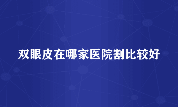 双眼皮在哪家医院割比较好