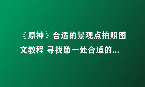 《原神》合适的景观点拍照图文教程 寻找第一处合适的景观点拍照通关技巧攻略