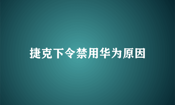 捷克下令禁用华为原因