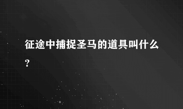 征途中捕捉圣马的道具叫什么？