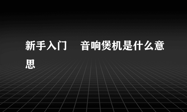 新手入门    音响煲机是什么意思
