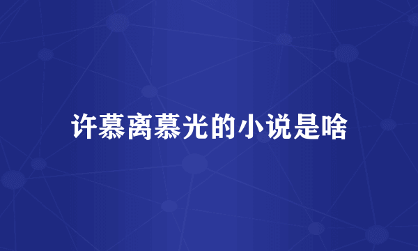 许慕离慕光的小说是啥