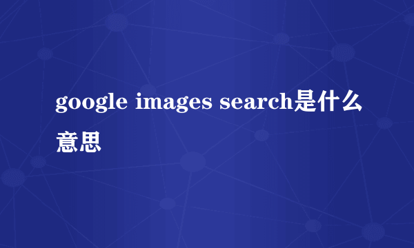 google images search是什么意思