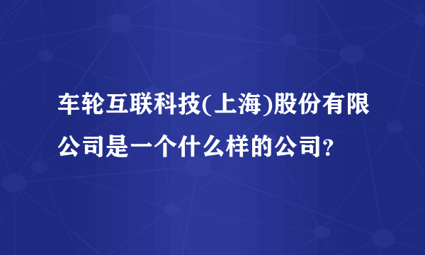 车轮互联科技(上海)股份有限公司是一个什么样的公司？