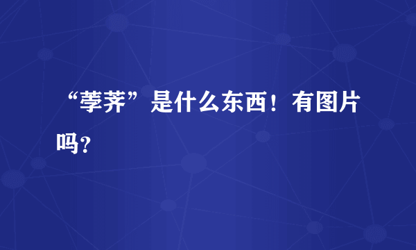 “荸荠”是什么东西！有图片吗？