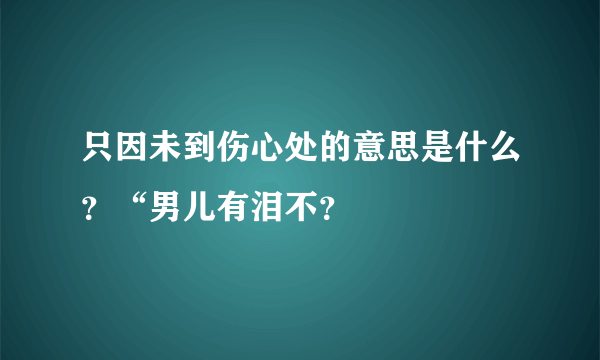 只因未到伤心处的意思是什么？“男儿有泪不？