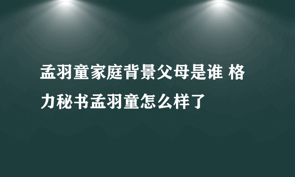 孟羽童家庭背景父母是谁 格力秘书孟羽童怎么样了