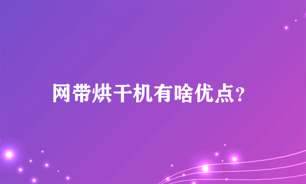 网带烘干机有啥优点？