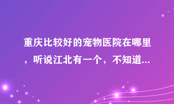重庆比较好的宠物医院在哪里，听说江北有一个，不知道在什么地方。