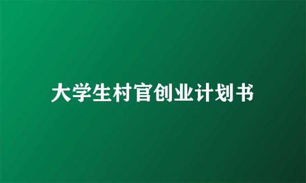 大学生村官创业计划书