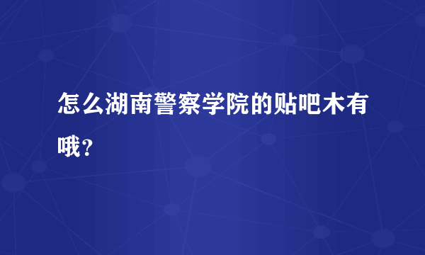 怎么湖南警察学院的贴吧木有哦？