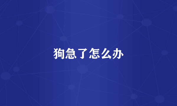 狗急了怎么办