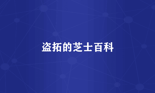 盗拓的芝士百科