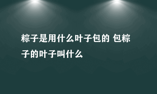 粽子是用什么叶子包的 包粽子的叶子叫什么