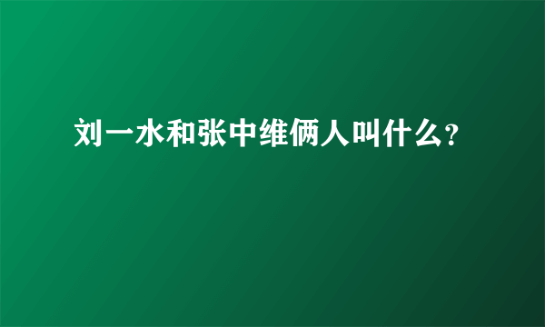 刘一水和张中维俩人叫什么？