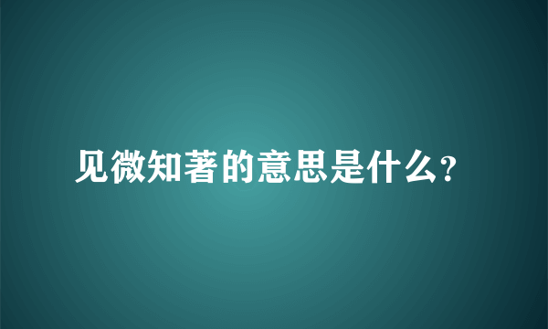 见微知著的意思是什么？
