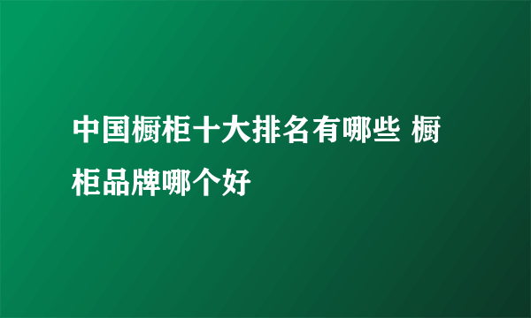 中国橱柜十大排名有哪些 橱柜品牌哪个好