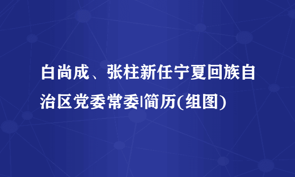 白尚成、张柱新任宁夏回族自治区党委常委|简历(组图)
