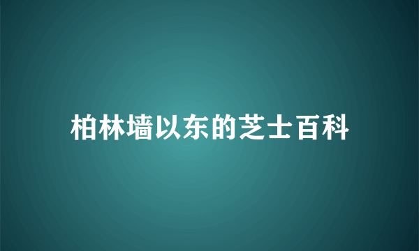 柏林墙以东的芝士百科